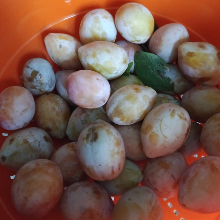 photo shared by @azaholmes01 on  06 Aug 2025 - post