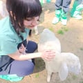 @elenaponyo profile image