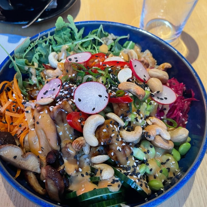 photo of RoseHip Vegan Bistro Teriyaki Tempeh Bowl shared by @ro-ngodrup-dorje on  09 Sep 2025 - review