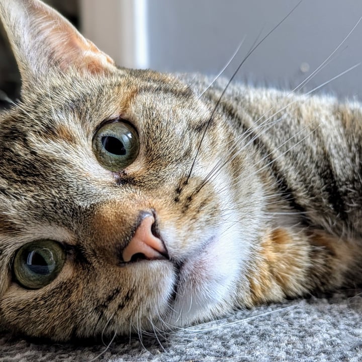 photo shared by @beccasaurus on  25 Jun 2024 - post