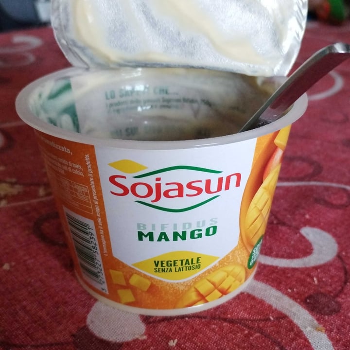 photo of Sojasun Yogurt Al Mango Soyasan shared by @linda1983 on  08 Nov 2024 - review