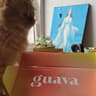 Guava