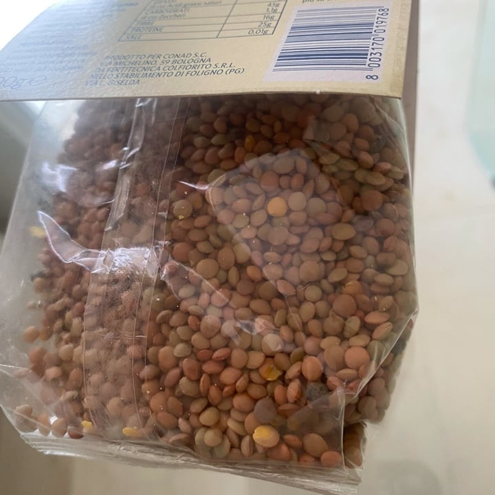 photo of Conad sapori e dintorni Lenticchie di Colfiorito shared by @lauradeluca on  14 Feb 2025 - review