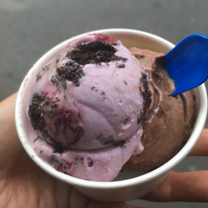 photo of Kristen's Kick-Ass Ice Cream Newlands Chocolate & Peppermint Bark shared by @sylvacharm on  24 Dec 2023 - review