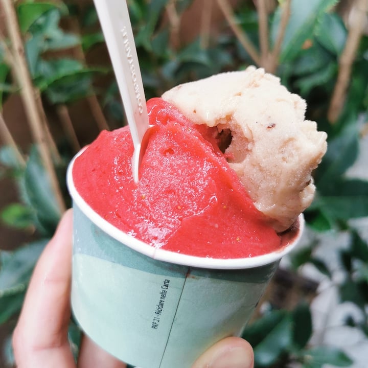 photo of Gelateria Ciacco Gelato fragola in fiore shared by @posataverde on  07 May 2024 - review