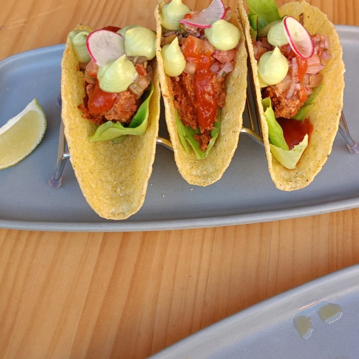 photo of Blu Bar Tacos Cochinita shared by @alessiadb on  29 Dec 2023 - review