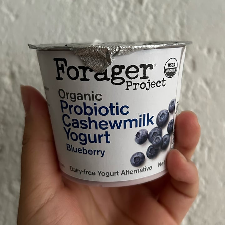photo of Forager Project Blueberry Cashewmilk Yogurt shared by @zullybee on  11 Jun 2023 - review