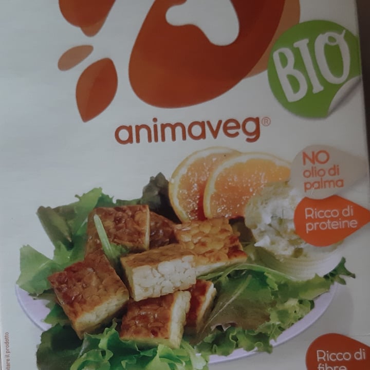 photo of Animaveg Tempeh Biologico Grigliato shared by @euphorian on  13 Jun 2023 - review