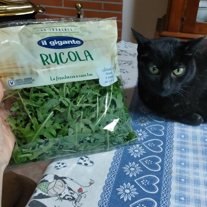 photo of Il Gigante Rucola shared by @michelalessandra on  24 May 2023 - review