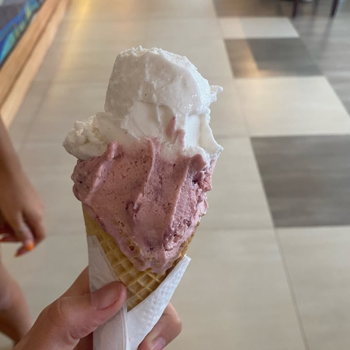 photo of La Delicia del Boulevard Helado Vegano shared by @camm on  12 Jan 2023 - review