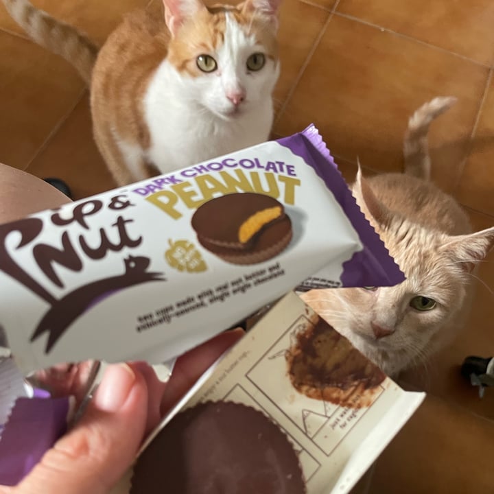 photo of Pip & Nut dark chocolate peanut shared by @darthmoony on  25 Jul 2023 - review