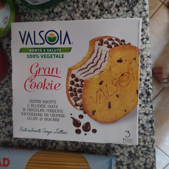 photo of Valsoia Biscotto Gelato con gocce di cioccolato shared by @alinapo on  21 Jun 2023 - review