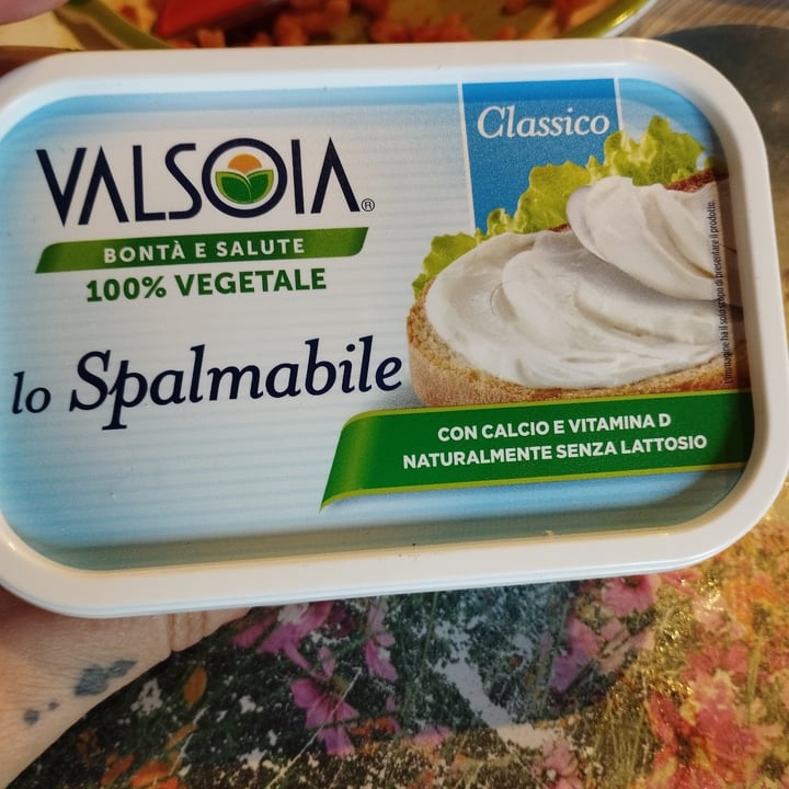 photo of Valsoia Formaggio Vegetale shared by @jessvegan87 on  31 Mar 2023 - review