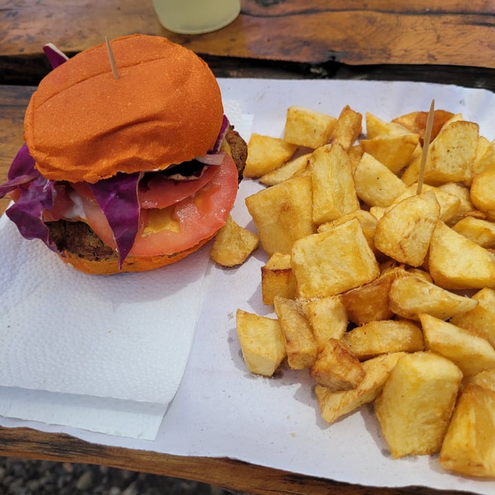 photo of Les Perrites Comida Vegana Hamburguesa con papas shared by @vedevegan on  27 Jan 2023 - review