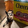 General Mills