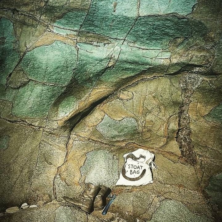 photo of undefined undefined shared by @sophgnome on  04 Feb 2023 - review