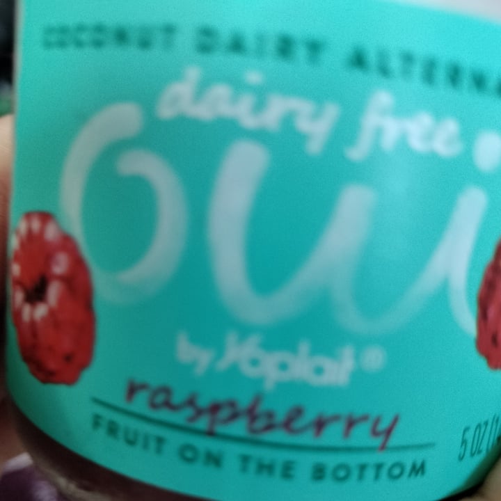 photo of Yoplait Dairy Free Oui Raspberry shared by @earthenlynx on  10 Jul 2023 - review