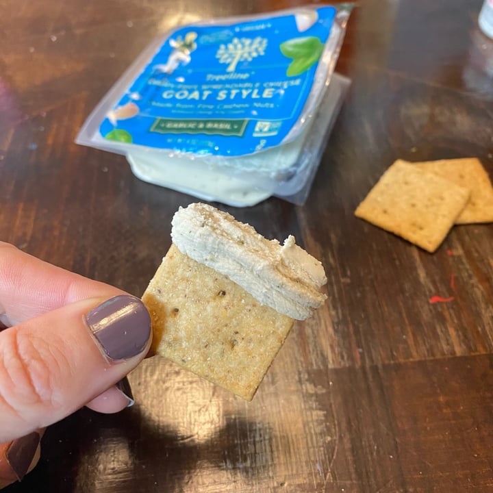 photo of Treeline Cheese Dairy free spreadable cheese goat style garlic and basil shared by @curvycarbivore on  14 Apr 2023 - review