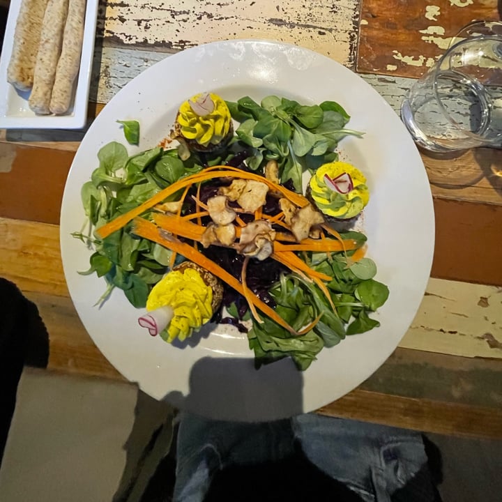 photo of L'Orto già Salsamentario - Vegan & raw food Il Piatto Novak shared by @saragrw13 on  15 May 2023 - review
