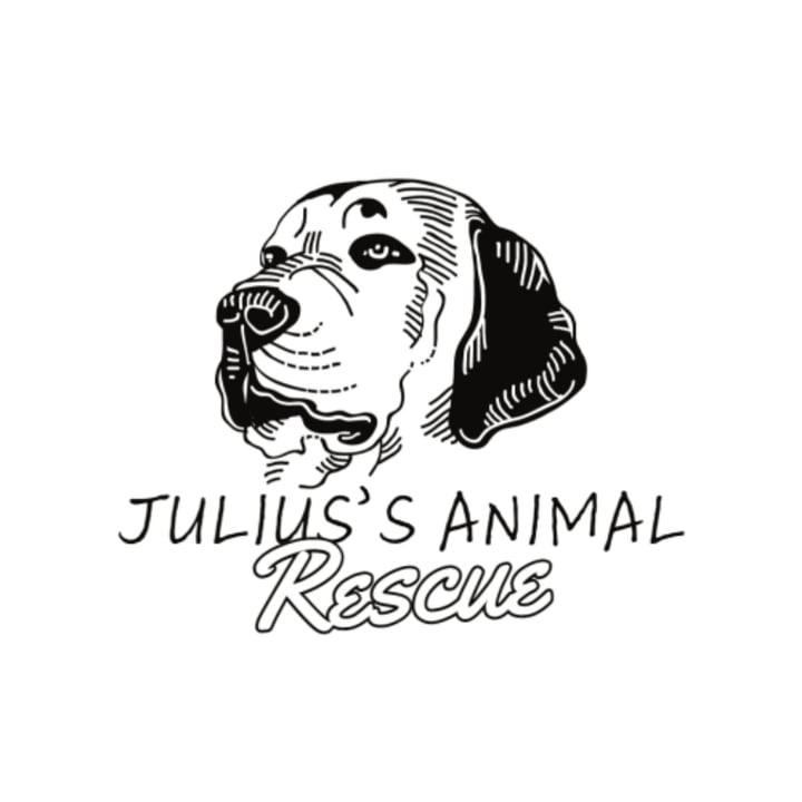photo shared by @julius-animal-rescue on  24 Mar 2023 - post