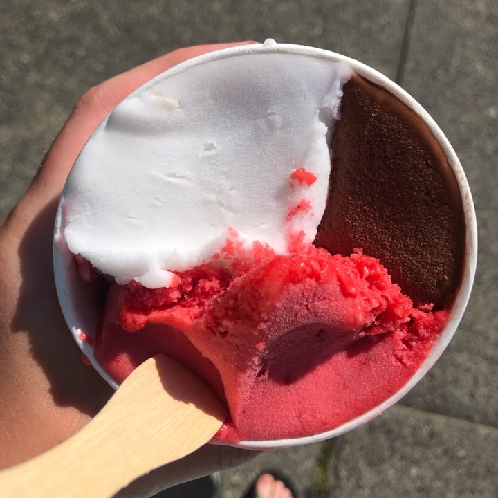 photo of Elevated Ice Cream Co Italian Ice shared by @plants on  12 Jun 2023 - review