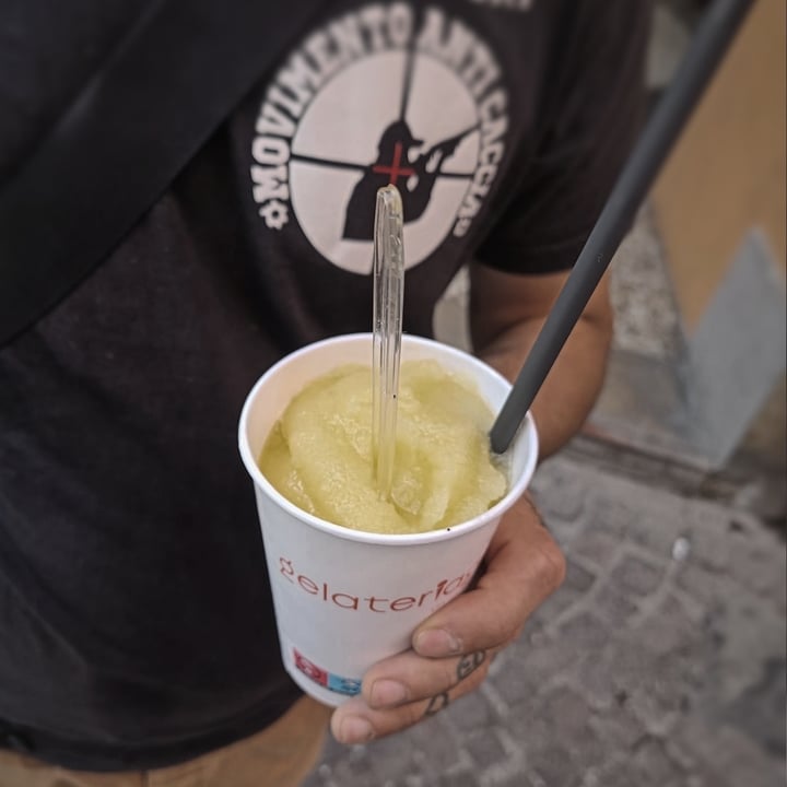 photo of Gelateria Gianni Granita Ananas & Lime shared by @irene80 on  26 May 2023 - review