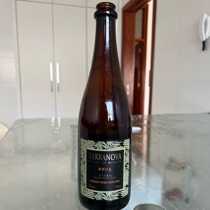 photo of Miolo Wine Group Espumante Terranova Brut shared by @melmicheletti on  01 Jan 2023 - review