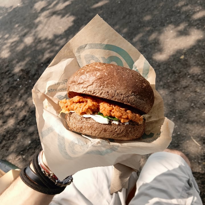 photo of Van Ver Burger Don Peppino shared by @mibuttogiulia on  24 Jul 2023 - review