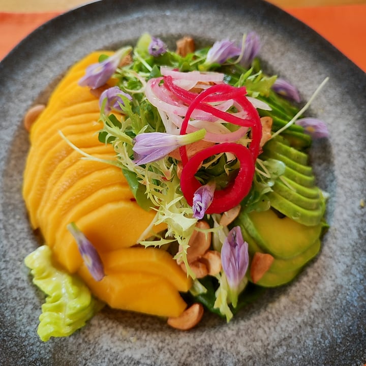 photo of HeyBong The Healthy Secrets 100% Vegan Avocado and Mango Salad shared by @littleredmushroom on  07 Apr 2023 - review