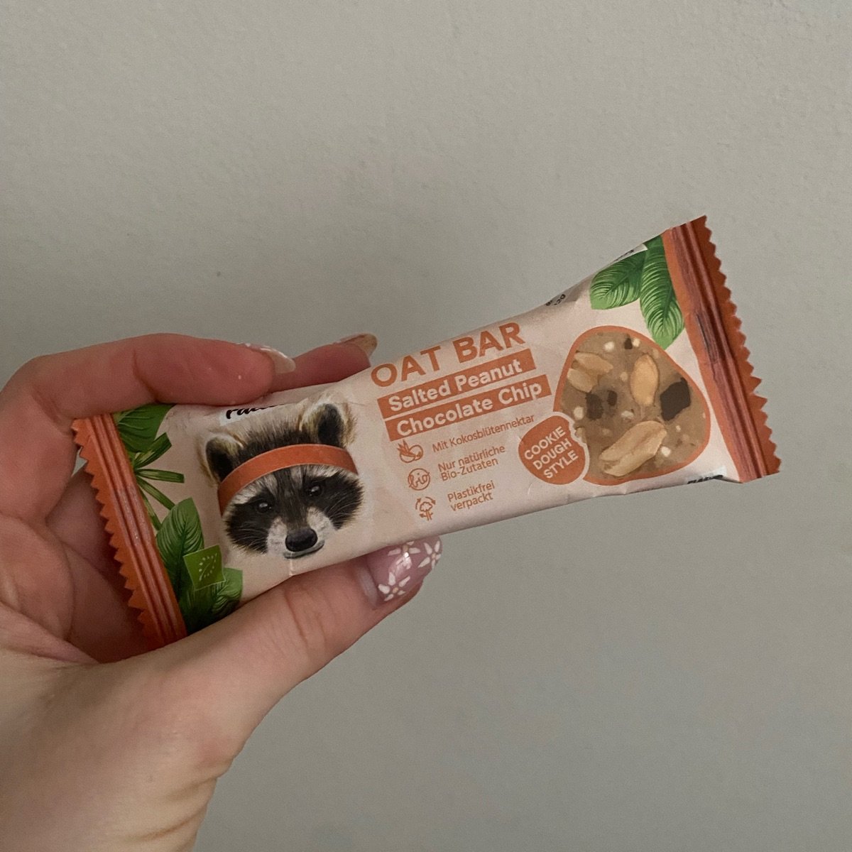 Oat Bar Salted Peanut Chocolate Chip from raccoon - Vegan Product ...