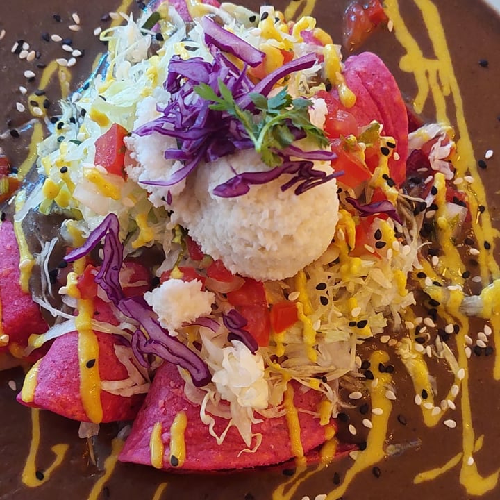 photo of La Pitahaya Vegana Enfrijoladas shared by @paulina1273 on  30 Jan 2023 - review