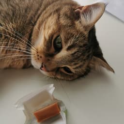 Kuhbonbon