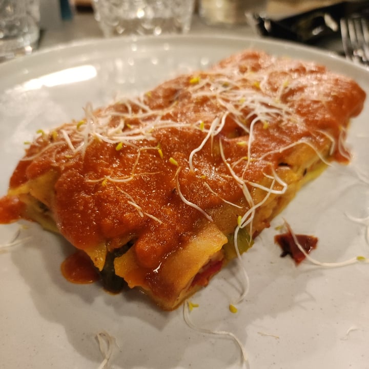 photo of Dr. Cat - Pet Lounge Bistrot Lasagna vegana shared by @anita87 on  15 Feb 2023 - review