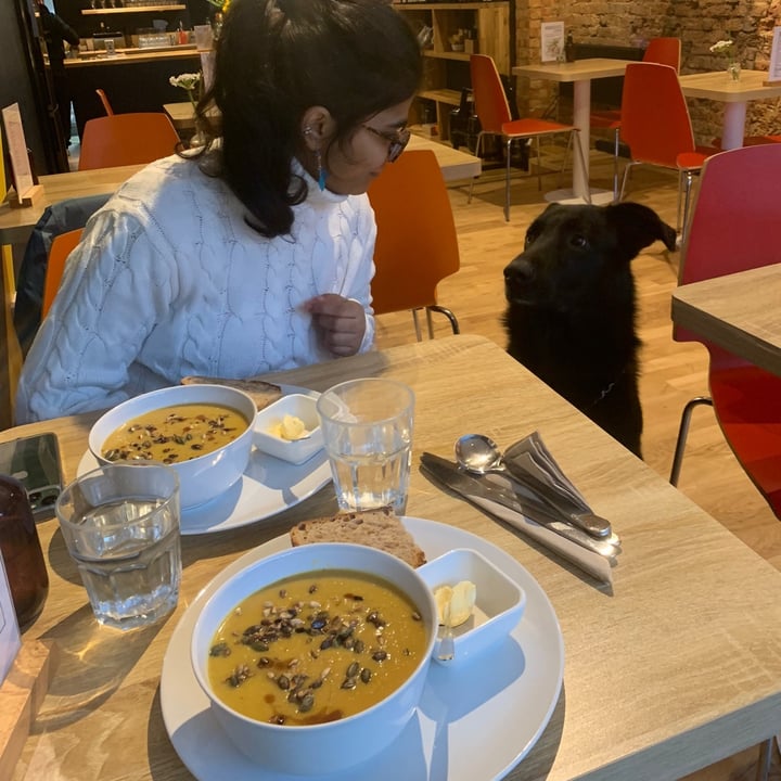 photo of E3 Vegan vegetable soup shared by @rubyami on  25 Jan 2023 - review