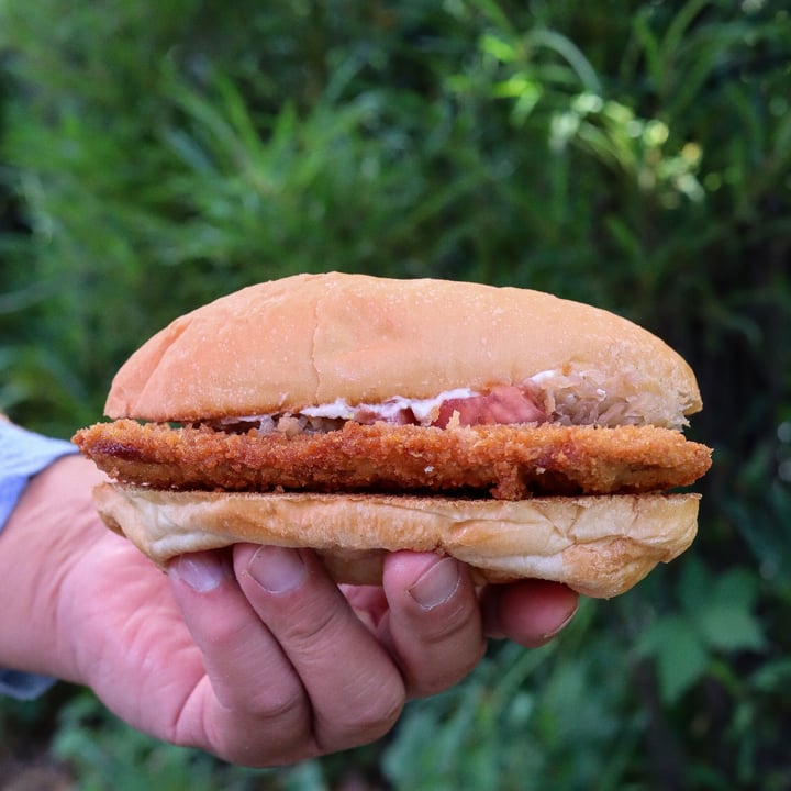 photo of Pierogi Mountain seitan schnitzel sandwich shared by @lizmaselli on  16 Jun 2023 - review