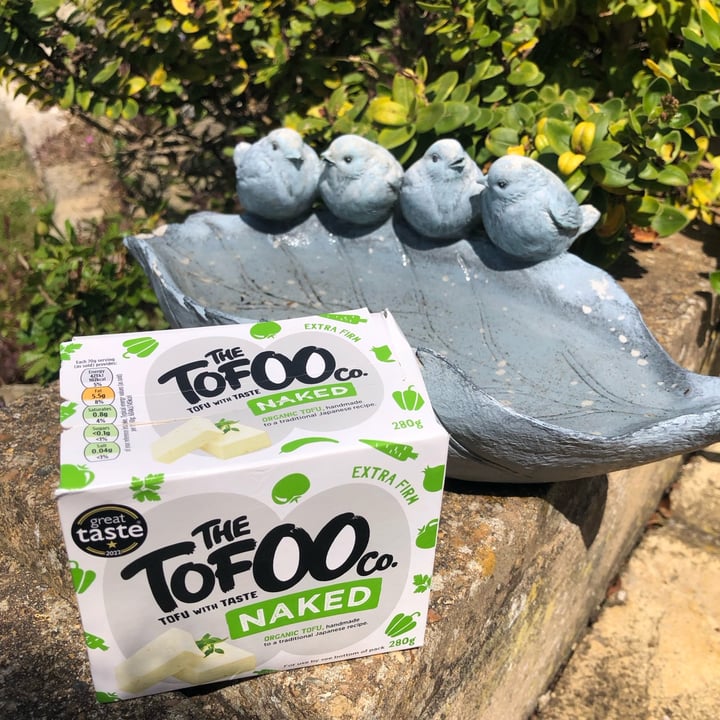 The Tofoo Co. Extra Firm tofu Review abillion