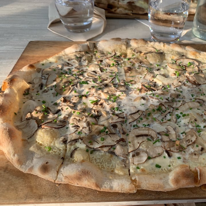 photo of Mama Bubbele Tarte flambée champignons shared by @oceanik on  01 Jun 2023 - review