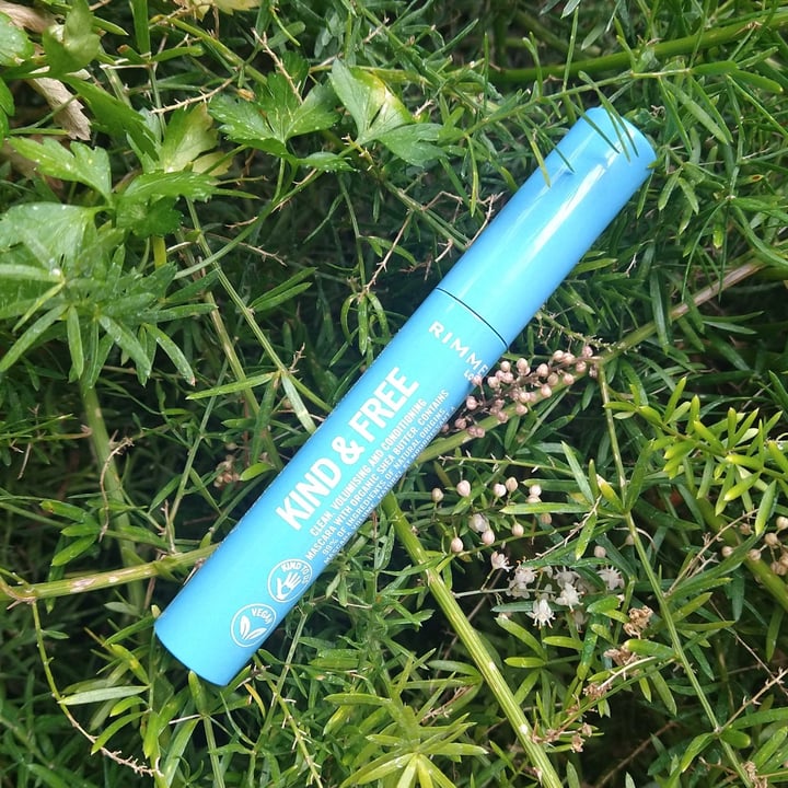 photo of Rimmel London Kind & Free Mascara shared by @benjidetta on  18 Jun 2023 - review