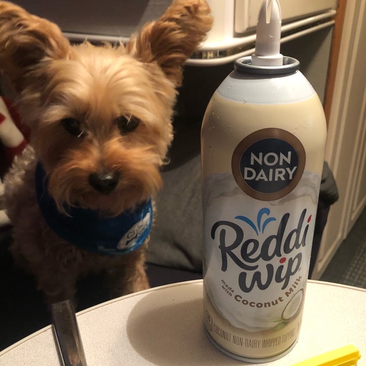 photo of Reddi-wip Non Dairy Coconut Milk Wip shared by @nisharespect on  03 Apr 2023 - review