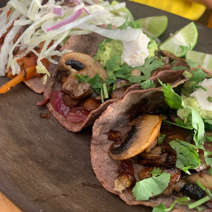 photo of La Colmena Tacos De Verduras shared by @yoatzin on  10 Jul 2023 - review