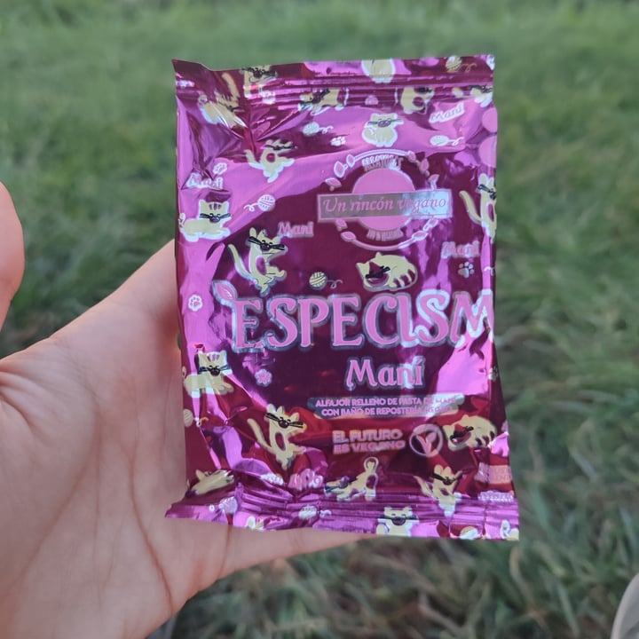 photo of Un Rincón Vegano Alfajor de maní y chocolate shared by @saraperulero on  05 Mar 2023 - review