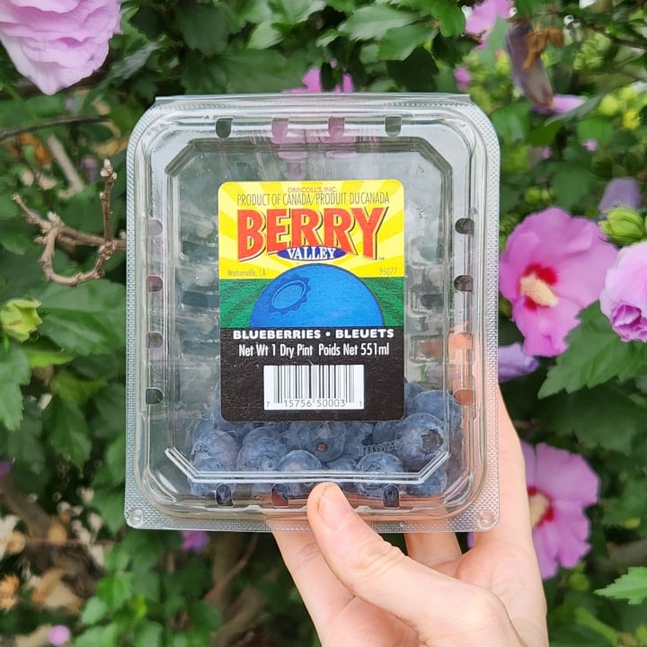 photo of Driscoll’s Blueberries shared by @rosieb33 on  09 Aug 2023 - review