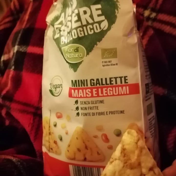 photo of Amo Essere Veg Mini Gallette Mais e Legumi shared by @moth on  16 May 2023 - review