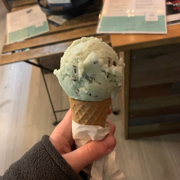 photo of The Greenery Creamery Mint Stracciatella Ice Cream shared by @zanderzuku on  05 Feb 2023 - review