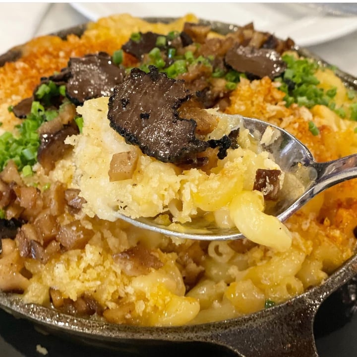 photo of Willow Vegan Bistro Truffle Mac and “Cheese” shared by @plantnats on  31 Mar 2023 - review