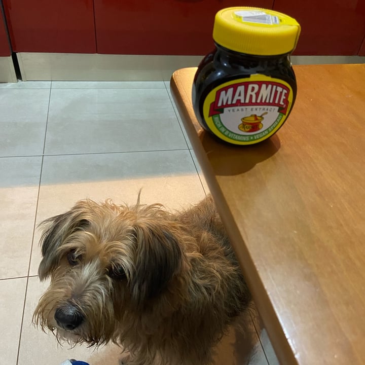 photo of Marmite Marmite yeast extract  shared by @fiachod on  30 Dec 2022 - review