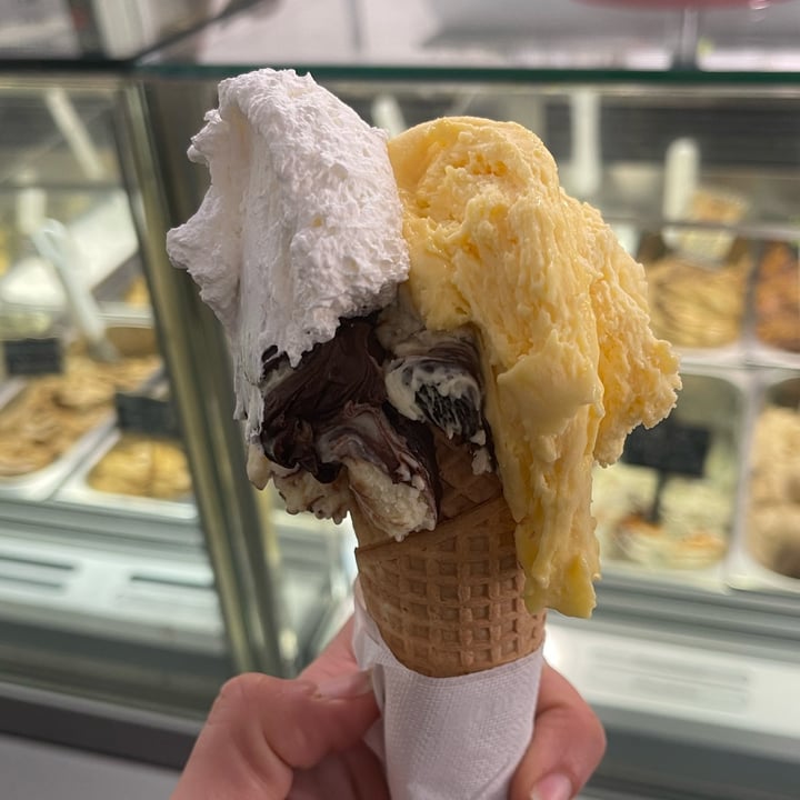 photo of Brivido Gelateria Variegato Vegan shared by @loveg on  06 Mar 2023 - review