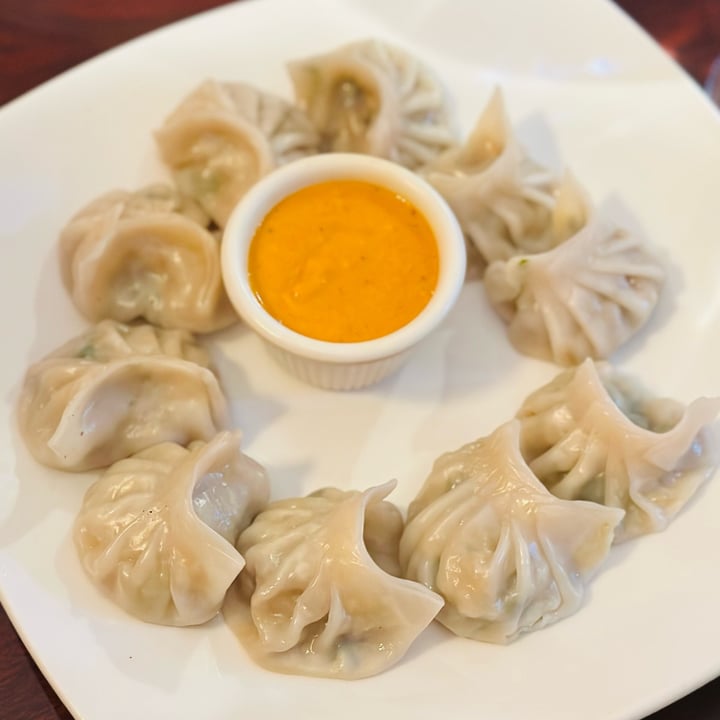 photo of Sargam Restaurant & Bar Vegetable Momo shared by @tabithalewis on  09 Jul 2023 - review