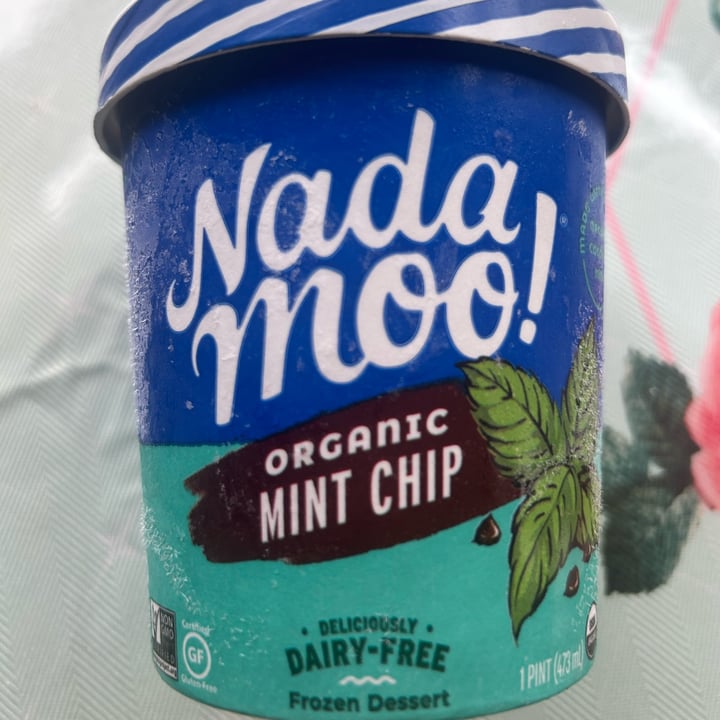 photo of NadaMoo! Organic Mint Chip shared by @izzyyrey on  24 Apr 2023 - review