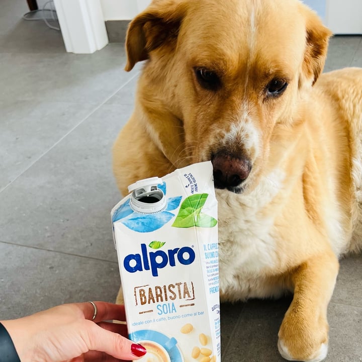 photo of Alpro Alpro barista soia shared by @nicole- on  13 May 2023 - review